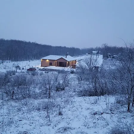 Vekeri Forest *