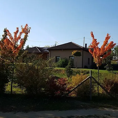 Vekeri Forest